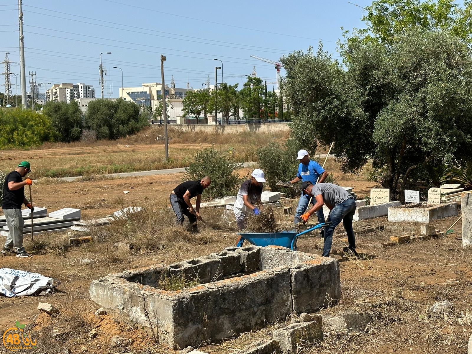 WhatsApp Image 2023-06-17 at 3.39.03 PM.jpeg